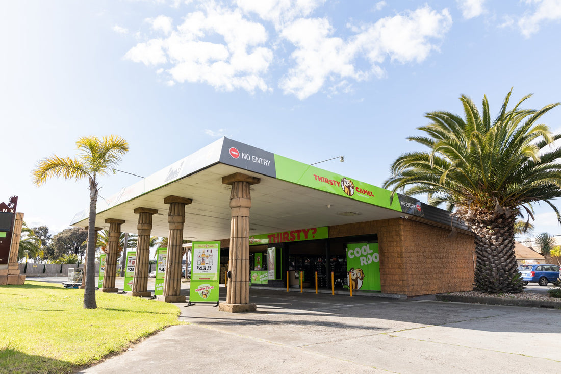 The Sphinx - Thirsty Camel